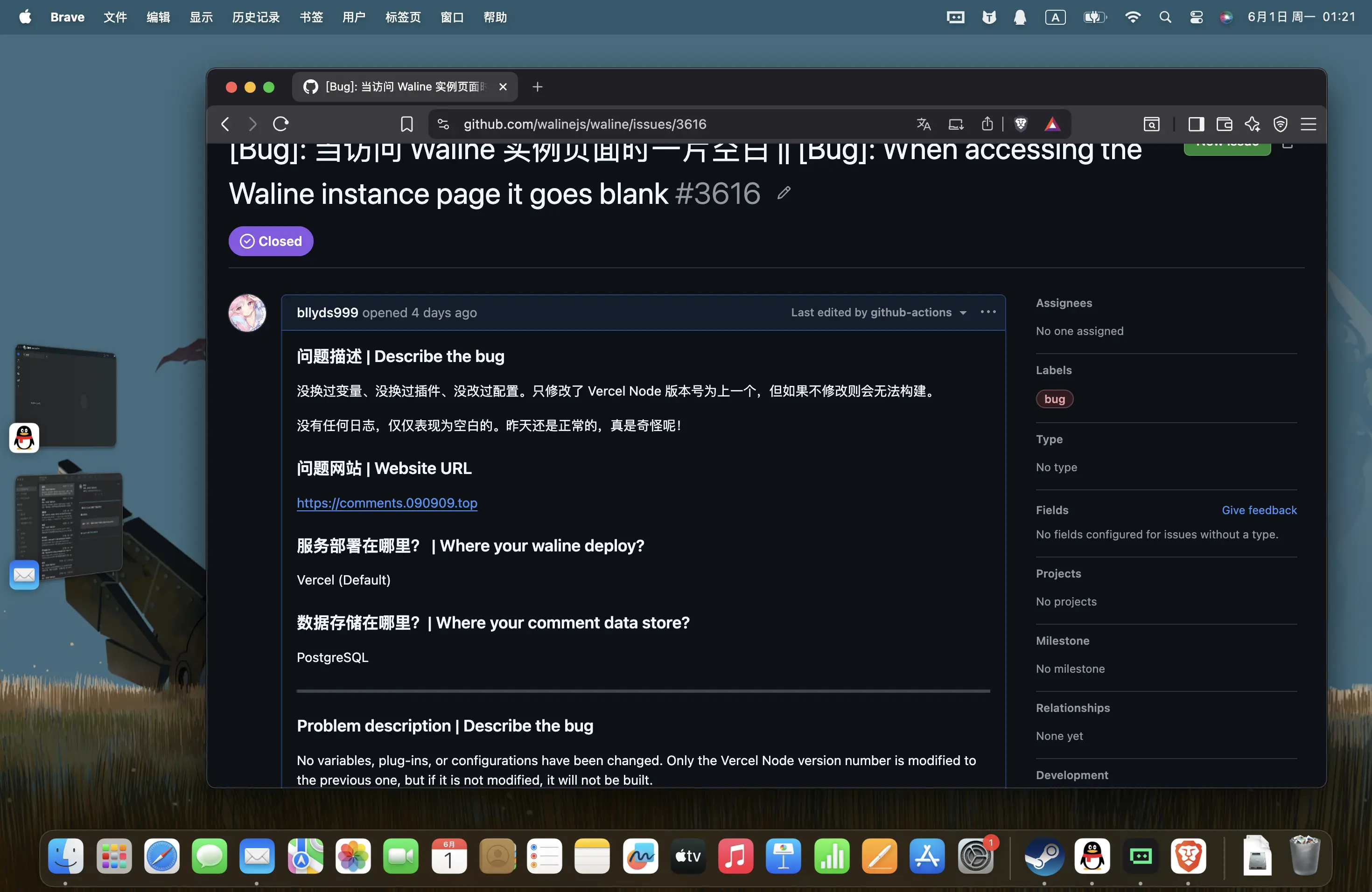 Waline 后台页面空白